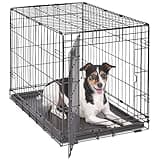 MidWest Homes for Pets 30-Inch iCrate for Medium Breeds, 21-40 lbs, Single Door Folding Dog Crate with Divider Panel, Leak-Proof Tray & Secure Latch, Portable, Durable & Easy to Assemble
