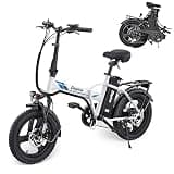 Vivi Gopina Electric Bike, 16" x 3.0 Fat Tire Electric Bike, Peak 500W Step Thru Electric Bicycle, 48V Removable Battery, Up to 40 Miles, LCD Display, 19.8mph, 7 Speed, SGS Certified to UL2849