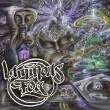 Luminous Fog