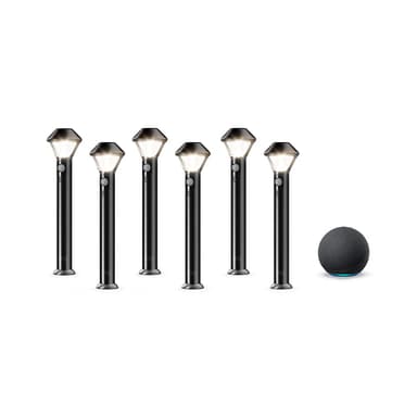 Ring Smart Lighting – Pathlight, Battery-Powered, Outdoor Motion-Sensor Security Light, Black (6-pack) + Echo (4th Gen)
