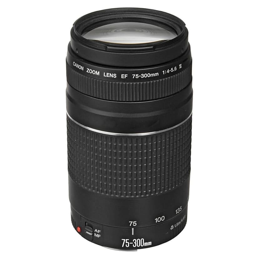 Canon EF 75-300mm f/4-5.6 III Telephoto Zoom Lens for Canon SLR Cameras, 6473A003 (Renewed)