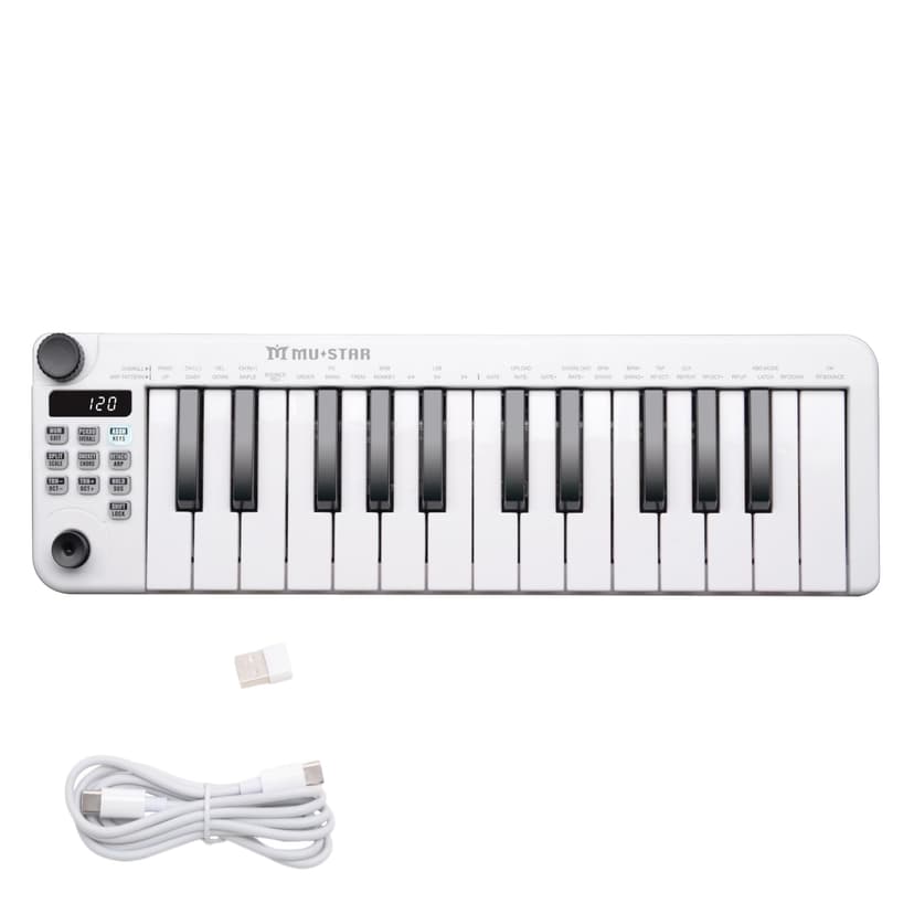 Mini MIDI Keyboard, 25 Key MIDI Controller for Beginner with Dual-Channel Keyboard, Knob, Joystick, Built-in MIDI Clock, LED Display (White)