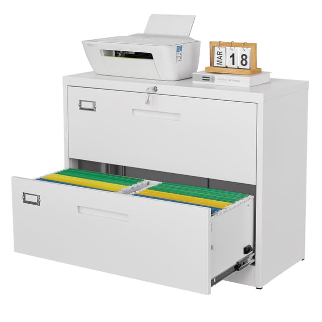 Letaya 2 Drawer Metal Filing Organization Office Cabinets with Lock,Lateral File Cabinets for Home Office Hanging Files Letter/Legal/F4/A4 Size (2 Drawer-White)