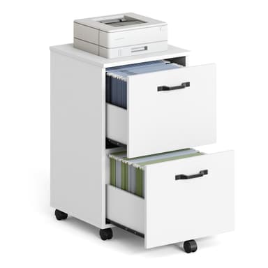 VASAGLE 2-Drawer File Cabinet, Small Rolling Filing Cabinet for Home Office, Printer Stand, for A4, Letter-Size Documents, 15.7 x 16.5 x 27.6 Inches, Snow White UOFC040W46
