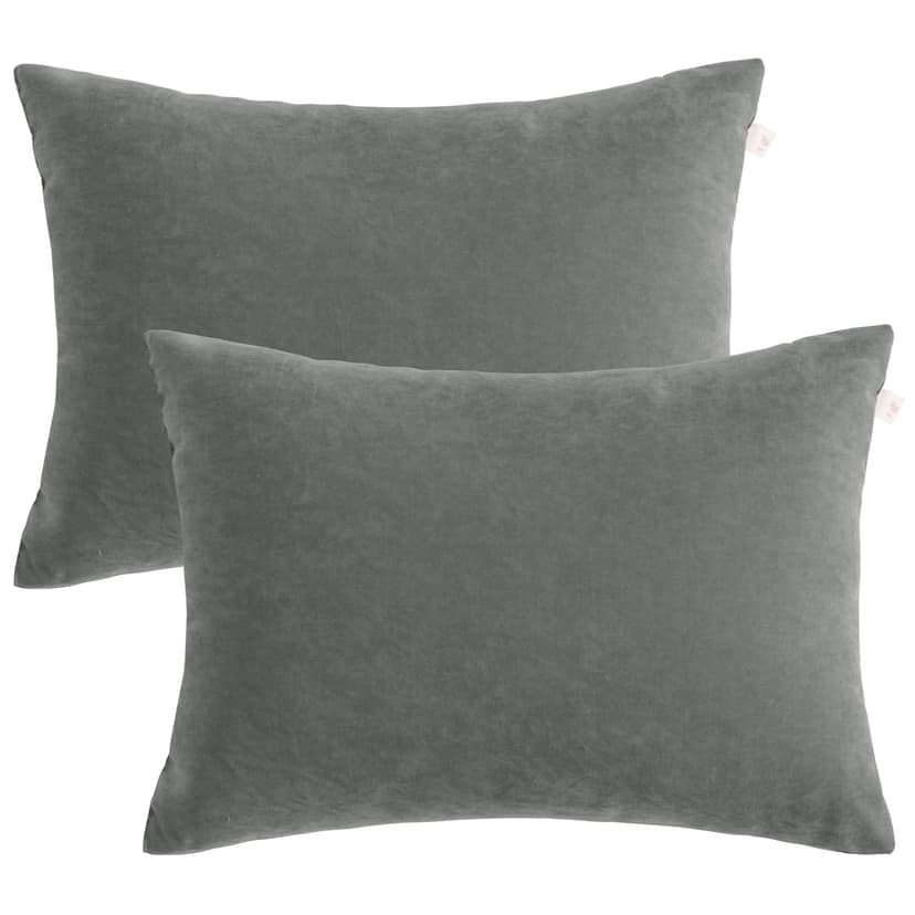BEDSUM 2 Pack Pillows, 13"x18" Microfiber Pillow for Travel, Pets, Soft and Machine Washable Small Pillows for Neck, Wrist, and Knee Comfort, Dark Grey