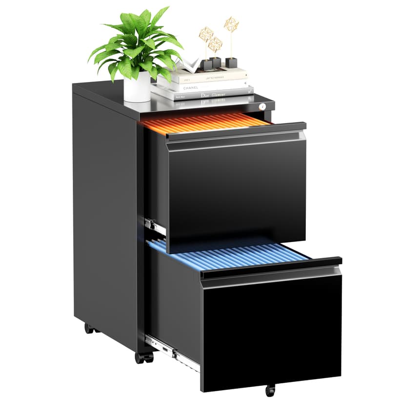INTERGREAT 2 Drawer File Cabinet with Wheels, Metal Filling Cabinet with Lock, Locking Office Mobile Cabinet with Wheels for Legal/Letter Size, Under Desk, Easy Assemble, Black