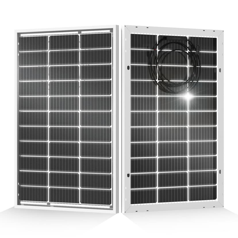 ECO-WORTHY 200 Watt Bifacial Solar Panel 2pcs 100 Watt Monocrystalline Solar Panel Module Off Grid PV Power for Home, Camping, Boat, Shed Farm, RV,12V/24V Battery
