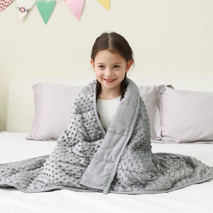 Mr. Sandman Weighted Blanket 5LBS 36 x 48 Inches, Minky Dots Heavy Blanket with Glass Beads, Soft and Cooling for School and Home, Grey
