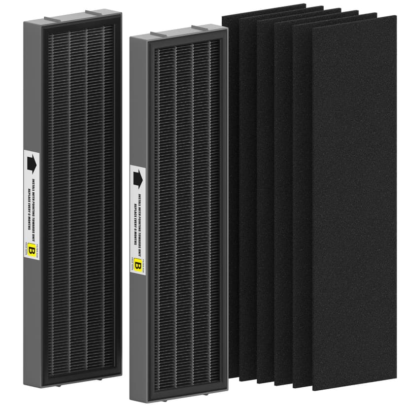 FMDZFL Filter B Smoke Clear HEPA Replacement Compatible with AC4825 AC4300 AC4800 AC4900 AC4850, 2 True HEPA Filters & 6 Activated Carbon Pre-Filters, FLT4825SM, Black/Gray