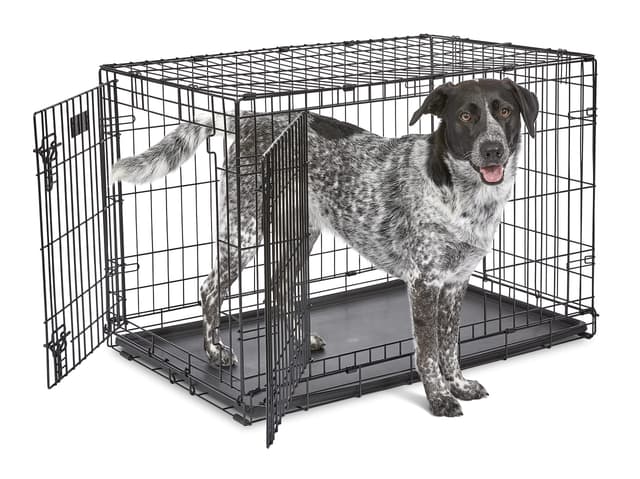 MidWest Homes for Pets 36-Inch iCrate for Medium-Large Breeds, 41-70 lbs, Double Door Folding Dog Crate with Divider Panel, Leak-Proof Tray & Secure Latches, Portable, Durable & Easy to Assemble