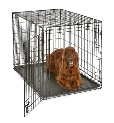 Midwest Homes for Pets 42-Inch New World Crate for Large Breeds, 71-90 lbs, Single Door Folding Dog Crate, Leak-Proof Tray & Secure Latch, Portable, Durable & Easy to Assemble