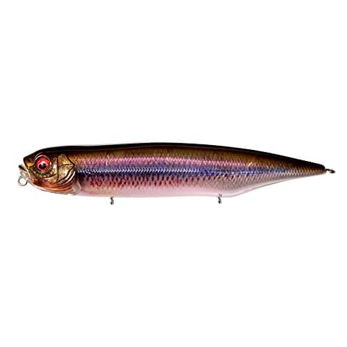 Megabass Dog-X Diamante Rattle In #FA Kawamutsu