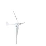 Low Speed Start Wind Turbine Generator 3000W 12V 24V 48V Free Alternative Energy Windmill 3 Blades For Home Use(48V)