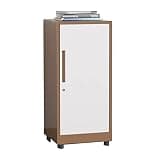 ntumLeap Sleek Vertical File Cabinet with Lock-Stylish Coffee Color Storage Box for Home & Office,Secure Document,Space-Saving Design for,