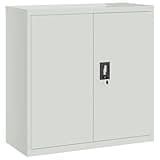 KMUNGDWG Steel Office Cabinet with 2 Doors and 2 Adjustable Shelves, Gray File Cabinet for Office Storage, Door Storage for Files and Supplies