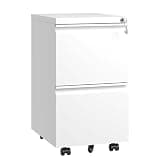 Kiwaou 2 Drawer Mobile File Cabinet, Rolling Metal File Cabinet with Lock for Letter/Legal/A4 Files, Fully Assembled, 14.69" W X 17.32" D X 25.79" H