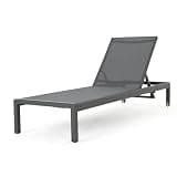 FytStycale Patio Seating Lounge Chair Patio Recliner Furniture Modern Sun Lounger Mesh Suitable for Poolside Backyard Garden