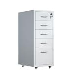 NYTFHMS Filing Cabinet Thickened Cold-Rolled Steel Chest of Drawers Storage Cabinet Multifunctional Data Organizer Cabinet 5 Layer Large Capacity Office File Cabinet File Storage CABI,White-One Size
