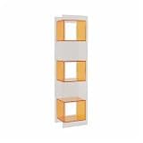 CFGH6FDF Office Light Luxury Simple Acrylic Bookshelf Multi-Tier Vertical Open Both Ends Shelving Unit Freestanding Book Shelf(Orange)