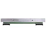 EKLLrfp Print Head 203 DPI Compatible with ZD420 and ZD620 Printers(300dpi)