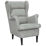KTPRTOCK Light Gray Velvet Armchair with Padded Backrest and Seat, Plywood Frame, Soft Touch Velvet Upholstery for Living Room