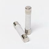 Ceramic 20 Amp Slow Blow Microwave Fuses 2 Pack