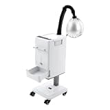 Vertical Nano Hair Steamer, 500W Nano Steamer Anion Hair Dyeing Machine with 4 Wheels&4 Gears Mist, Professional Hair Color Processor for Home Beauty Salon Spa