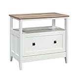 Filing Cabinet for Home Office, File Cabinets Organizer with Large