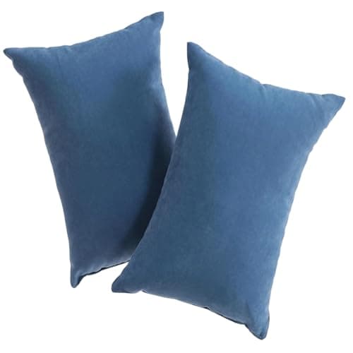 KUYYFDS 2 Pack Mini Pillows, 11x7 Soft Microfiber Small Travel Pillow for Sleeping, Nap, Pets - Machine Washable Compact Pillows (Blue)