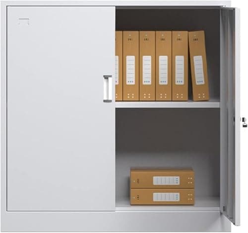 SoOSSN Metal Filing Cabinet for Home Office Lockable Storage with Visible Doors Ideal for A4 &(B)