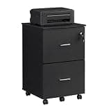 VASAGLE 2-Drawer File Cabinet, Locking Filing Cabinet for Home Office, Small Rolling Printer Stand, A4, Letter-Size Hanging Files, Assembly Required, Black ULCD027T16V2