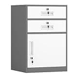 ntumLeap Lockable File Cabinet-Secure Storage for Documents &,Perfect for Office & Home Nization,Design for Enhanced Security,