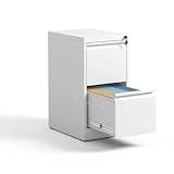 Havemies 2 Drawer Metal Vertical File Cabinet with Lock, Compact Slim Design for A4/Letter/Legal, Steel Office Home Storage Organizer, Space-Saving Vertical Filing (White)