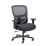 HON Sadie Big and Tall Ergonomic Office Chair with Mesh Back, Adjustable Lumbar Support and Arms, High Back Desk and Computer Chair for Home Office or Workstation, 350 lb. Weight Capacity, Black