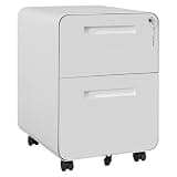 Garvee Mobile File Cabinet with Lock, 2 Drawer File Cabinet with Lock, 2 Drawer Under Desk Metal Rolling Filing Cabinets for Home Office Letters/Legal/A4, Fully Assembled