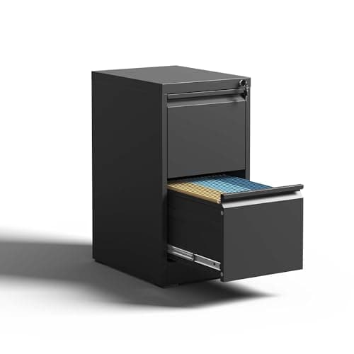 AYJOIR 2 Drawer File Cabinet, Vertical File Cabinets with Lock, Metal Filing Cabinet for Home Office, Assembly Require, Holds Letter, Legal, A4 File Size (Black, 2 Drawer)