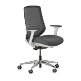 Branch Ergonomic Chair - A Versatile Desk Chair with Adjustable Lumbar Support, Breathable Mesh Backrest, and Smooth Wheels - Experience Optimal Comfort and Support - Graphite - White