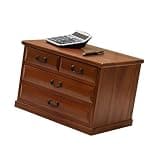 NUHSLF Desktop File Cabinet with 5 Drawers - Organized Storage Box for Documents Flat File Organizer Efficient Desktop Drawer Solution for Home & Office (B-4 Drawers)
