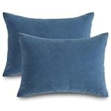 Latemeia Small Pillow, 2pcs 18x13inch Soft Mini Pillows, Washable Mini Travel Pillow for Travel, Sleeping, Nap and Neck