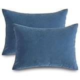 Latemeia Small Pillow, 2pcs 18x13inch Soft Mini Pillows, Washable Mini Travel Pillow for Travel, Sleeping, Nap and Neck