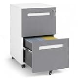 SAWJEC 2 Drawer Mobile File Cabinet with Lock, Fully Assembled Rolling Metal Filing Cabinet for Home Office, Fits Letter/Legal/A4, Grey, 18" D x 15" W x 27" H