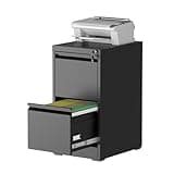 FOSTOKO 2 Drawer Vertical File Cabinet with Lock, Steel Filing Storage Cabinet for Home Office, Heavy-Duty File Cabinets for Letters/Legal/A4 (Require Assembly, Black)