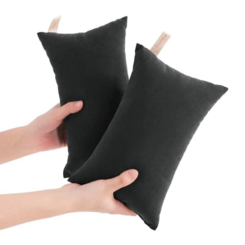Aerlomi Tiny Pillows, 2 Pack Down Alternative 7"x11" Microfiber Mini Pillow, Soft and Breathable Small Pillow for Travel, Pet, Machine Washable, Black