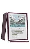 Amazon Kindle Scribe Colorsoft 64GB (newest model) — 11” paper-like color display with front light — Thin, light, powerful — Write in notebooks, documents, and books. Includes Premium Pen - Fig
