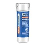 Crystala Filters Water Filter Compatible with XWFE (Built-in CHIP), Replacement for GE XWFE, XWF Refrigerator Water Filter Pack of 1