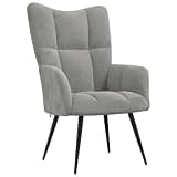 KTPRTOCK Light Gray Velvet Relaxing Chair with Thickly Padded Foam, Elegant Armchair with Steel Frame for Comfortable Lounge