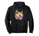 Washington High School of Information Technology Mascot Pullover Hoodie