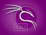 Kali Purple