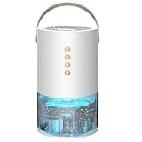 Dehumidifier for Home, 300 mL Per Day Portable Small Dehumidifier, Quiet Mini Dehumidifier for Bedroom, Moisture Absorber with 1300 mL Tank, Full Water Auto Shut Off, Covers 280 sq ft