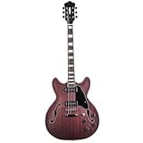 ZOCWJK Electric Guitar Professional Performance Jazz Electric Guitar Beautiful Tone Durable,White Edged Red